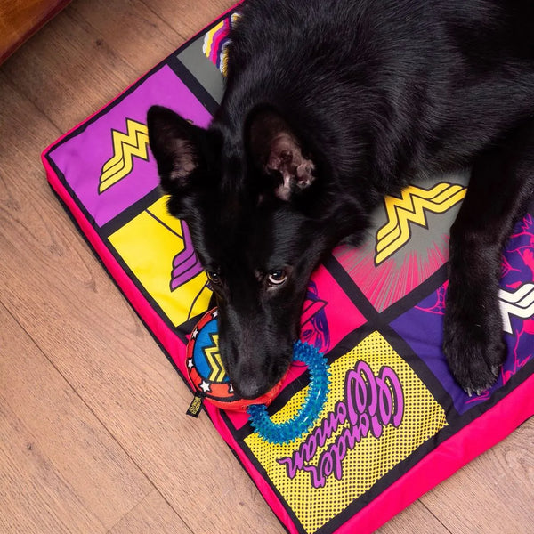 Lit tapis pour chien - Wonder Woman