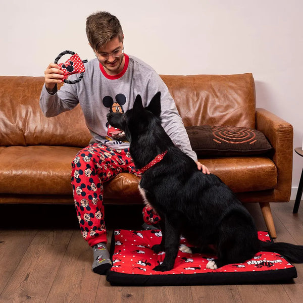 Collare per cani - Pois Minnie