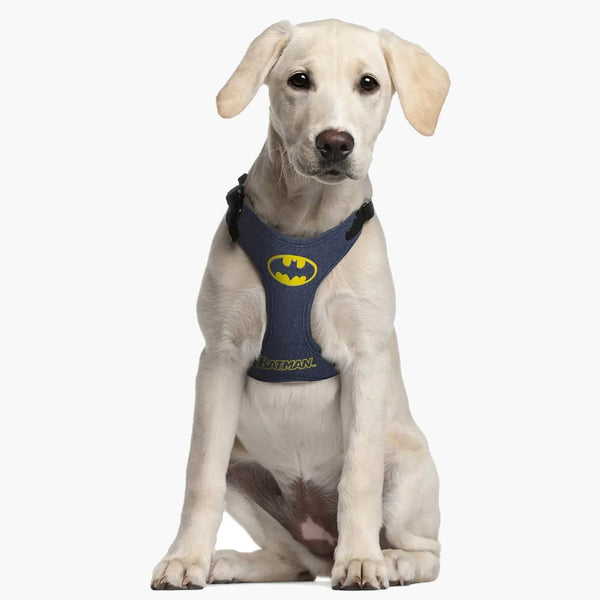 Harnais pour chien - Batman | Réglable dans l'abdomen