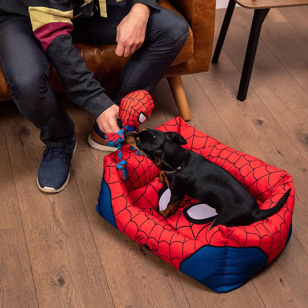 Lit pour chien - Spiderman