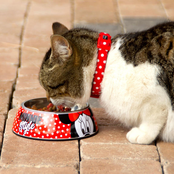 Mangeoire pour chien - Minnie