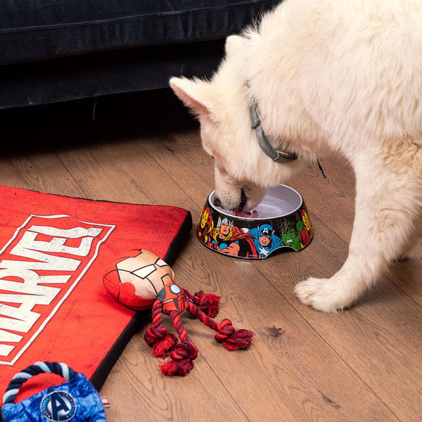 Mangeoire pour chien - Marvel Superheroes