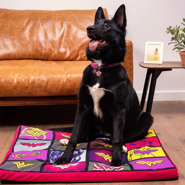 Collare per cani - Wonder Woman
