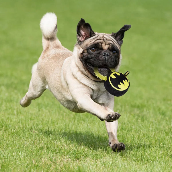 Morditore per cani - Batman