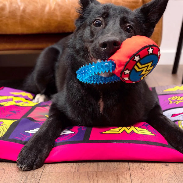 Morditore per cani - Wonder Woman