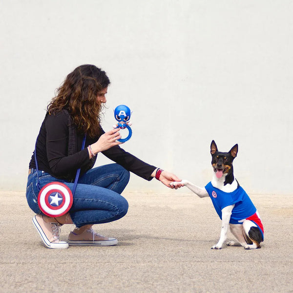 Massaggiagengive per cani - Capitan America Marvel