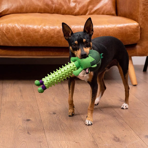 Morditore per cani - Hulk Marvel