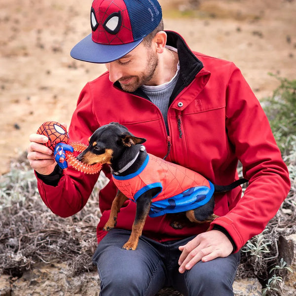 Morditore per cani - Spiderman