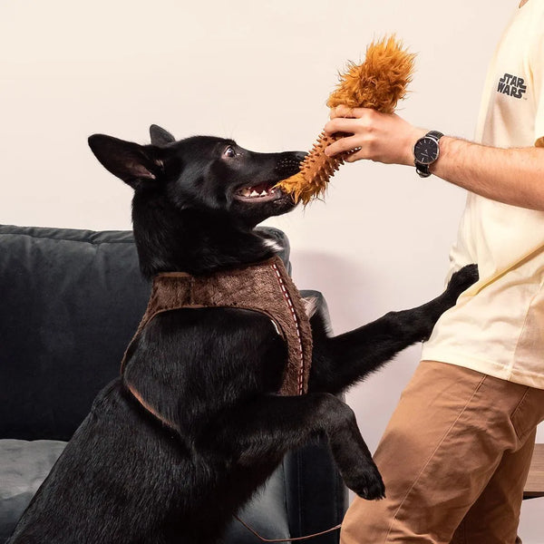 Massaggiagengive per cani - Chewbecca Star Wars