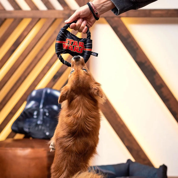 Disque cordon dentaire pour chien - Star Wars