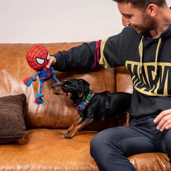 Corde dentaire pour chien - Spiderman