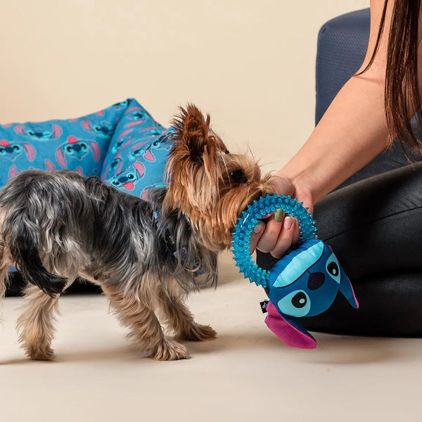 Morditore per cani - Stitch