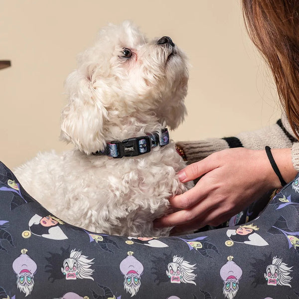 Collare per cani - Villains Disney