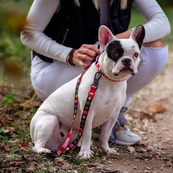 Guinzaglio per cani - Marvel