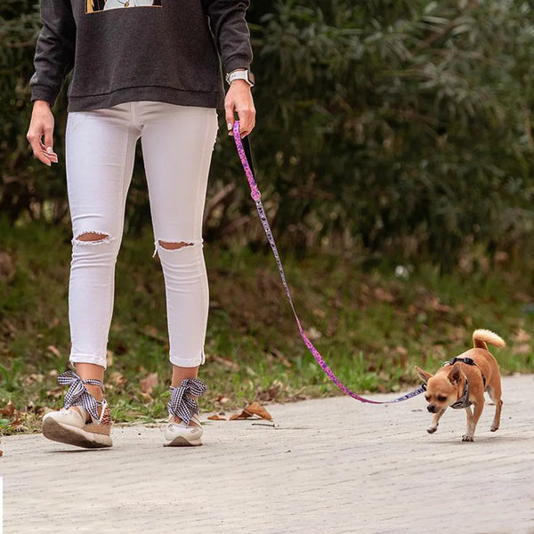 Guinzaglio per cani - Villains Disney