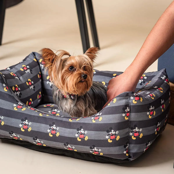 Lit pour chien - Mickey