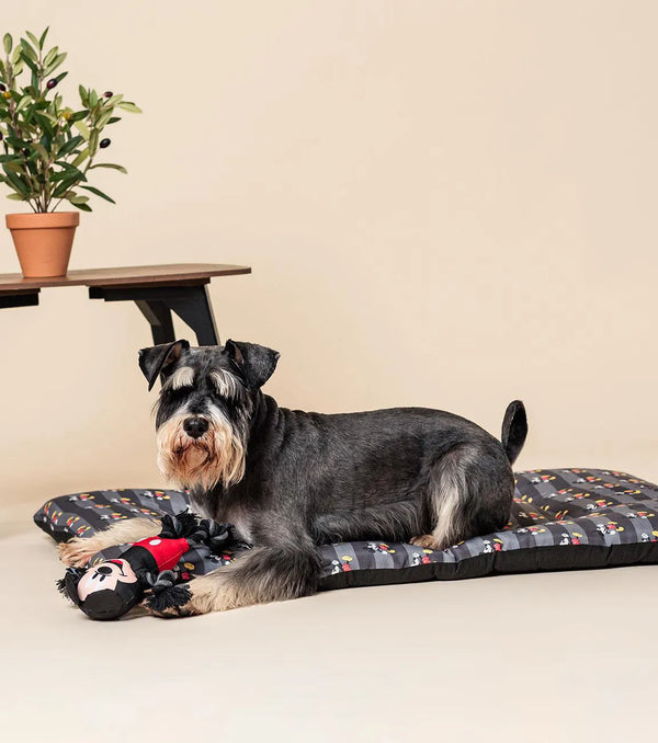Lit tapis pour chien - Mickey