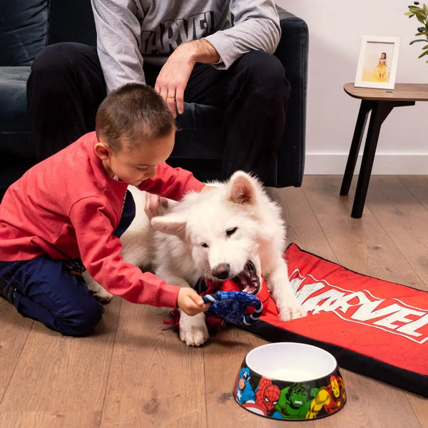 Letto materassino per cani - Marvel