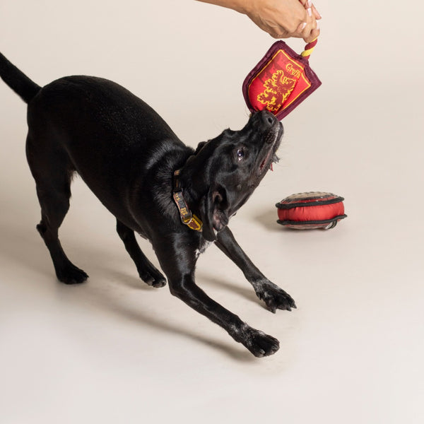 Corde dentaire pour chien - Gryffondor Harry Potter
