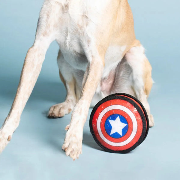 Giocattolo per cani - Capitan America Marvel