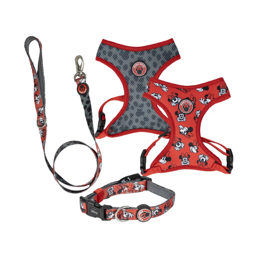Pack Arnés Reversible, Collar y Correa - Minnie