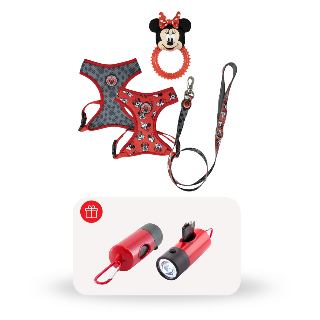 Pack Reversible 2x1 + Porta bolsas Rojo GRATIS - Minnie