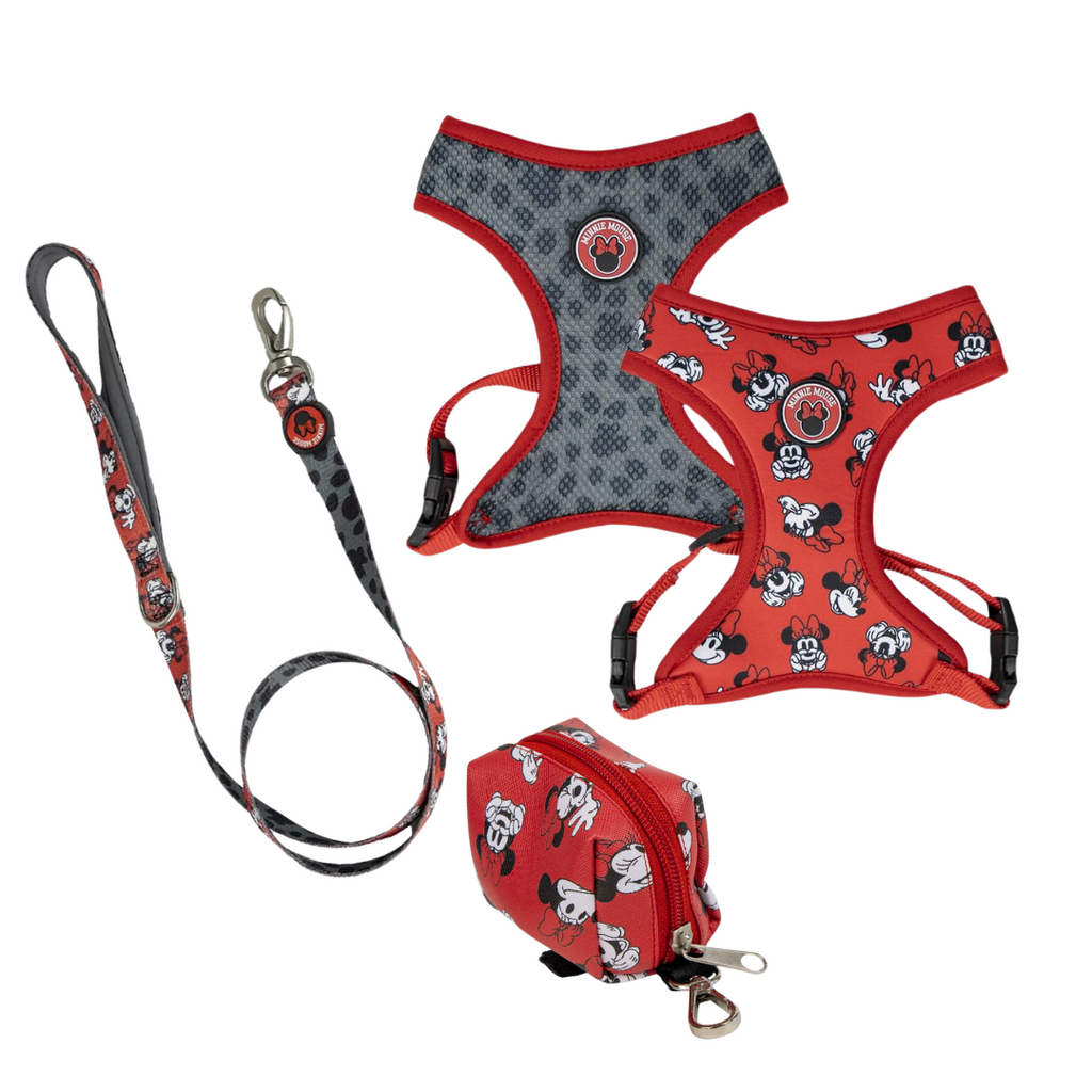 Wendegeschirr, Leine und Spenderpaket – Minnie