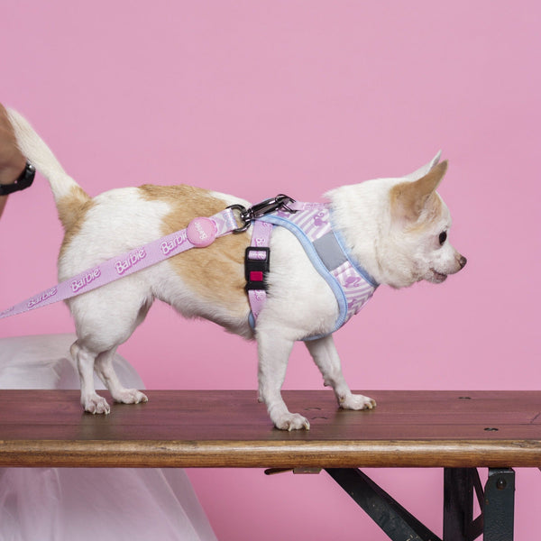 Guinzaglio per cani - Barbie