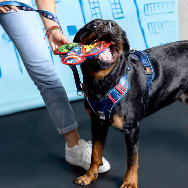 Morditore TPR per cani - Marvel
