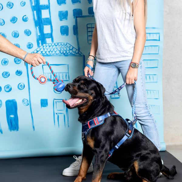 Jouet pour chien - Corde Avengers Captain America