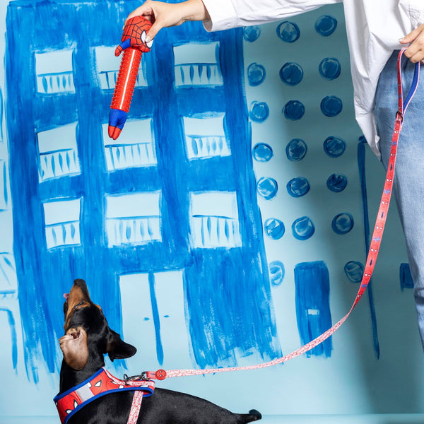 Guinzaglio per cani - Spiderman