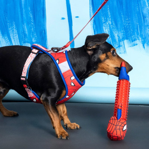 Morditore TPR per cani - Spiderman