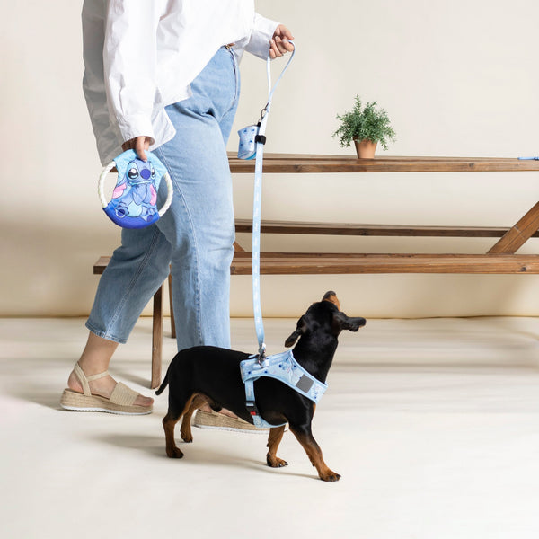 Correa Premium per cani - Stitch