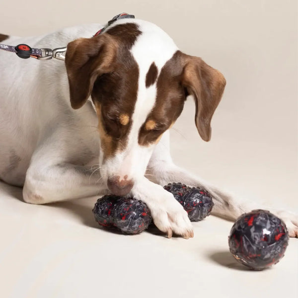 Morditore per cani TPR - Star Wars
