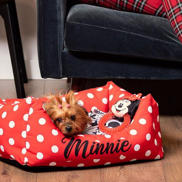 Morditore per cani - Minnie